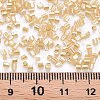 Glass Bugle Beads SEED-S032-11A-102-4