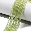 Natural Peridot Beads Strands G-B107-A06-01A-2
