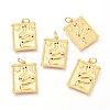 Brass Micro Pave Clear Cubic Zirconia Charms ZIRC-O036-20G-1