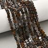 Natural Bronzite Beads Strands G-G085-B60-02-1