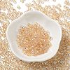 Glass Seed Beads X1-SEED-H002-A-A611-2