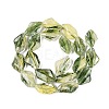 Handmade Lampwork Beads Strands LA-N046-02F-2