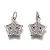 Brass Micro Pave Clear Cubic Zirconia Charms ZIRC-B002-52P-2