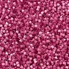 MIYUKI Delica Beads X-SEED-J020-DB1807-3
