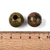 Natural Unakite European Beads G-Q602-09C-09-3