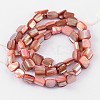 Natural Shell Beads Strands PBB049Y-2