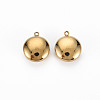 Ion Plating(IP) 304 Stainless Steel Charms STAS-N097-095LG-NR-1