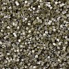 MIYUKI Delica Beads SEED-X0054-DB1876-3