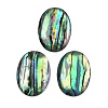 Natural Paua Shell Cabochons SSHEL-I026-20A-1