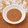MIYUKI Delica Beads SEED-J020-DB1702-2