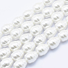 Electroplate Shell Pearl Beads Strands BSHE-G009-A-02-1