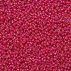 MIYUKI Round Rocailles Beads X-SEED-G007-RR0476-2