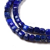 Natural Lapis Lazuli Beads Strands G-C009-B08-4