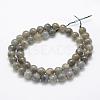Natural Labradorite Beads Strands G-P322-31-8mm-2