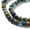 Natural HuBei Turquoise Beads Strands G-K312-26D-02-3