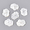 Natural White Shell Carved Leaf Beads BSHE-T014-31A-1