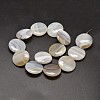 Flat Round Natural Dendritic Agate Bead Strands G-M257-30mm-24-2