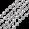 Electroplated Natural Agate Beads Strands G-B191-A07-8mm-20-2