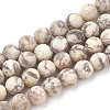 Natural Gemstone Beads Strands G-T106-243-1