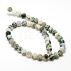 Natural Tree Agate Beads Strands G-G735-02F-6mm-2