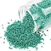 MIYUKI Delica Beads X-SEED-J020-DB2505-1