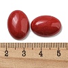 Synthetic Coral Cabochons G-C115-01A-01-3
