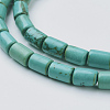 Natural Magnesite Beads Strands TURQ-K003-21D-2