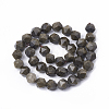 Natural Golden Sheen Obsidian Beads Strands G-T064-45B-2