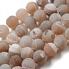 Natural Weathered Agate Beads Strands G-P538-A01-11-1