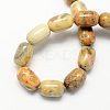 Barrel Shaped Gemstone Natural Crazy Agate Stone Beads Strands X-G-S114-08-2