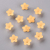 Transparent Acrylic Beads LS-X-PL554-07-3