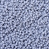 MIYUKI Round Rocailles Beads SEED-G007-RR0498-3