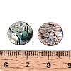 Natural Paua Shell Beads SSHEL-N040-20A-3