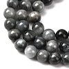 Natural Hawk's Eye Beads Strands G-L478-03-8mm-01-4