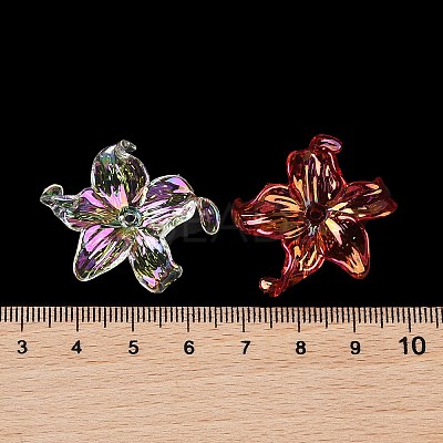 Transparent Acrylic Beads X-MACR-K358-06B-1