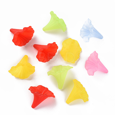 Transparent Acrylic Beads BSF796M-1