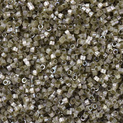 MIYUKI Delica Beads SEED-X0054-DB1876-1