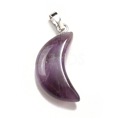 Natural Amethyst Pendants G-Z022-05D-1