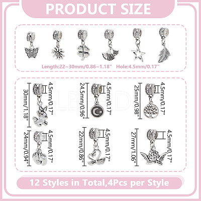 48Pcs 12 Styles Brass European Dangle Charms KK-HY0004-07-1