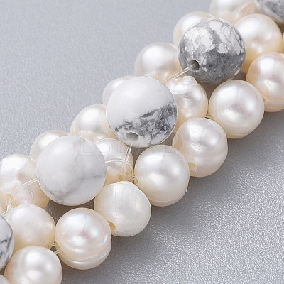 Natural Howlite Beads Bracelets BJEW-JB04604-03-1