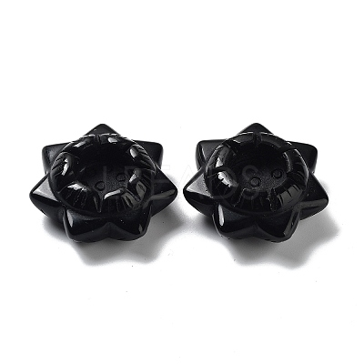 Natural Obsidian Display Decorations DJEW-F007-E05-1