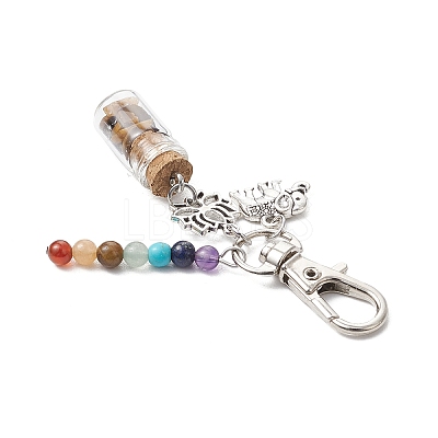 Glass Wishing Bottle with Chakra Natural & Synthetic Gemstone Chips inside Pendant Decorations HJEW-JM03044-1