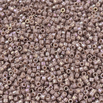 MIYUKI Delica Beads X-SEED-J020-DB2271-1