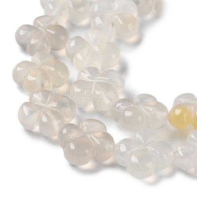 Natural White Agate Beads Strands G-M418-D03-01-1