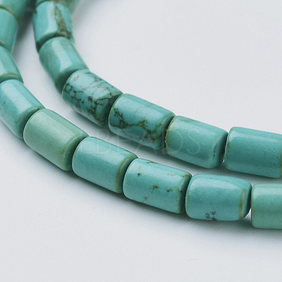 Natural Magnesite Beads Strands TURQ-K003-21D-1