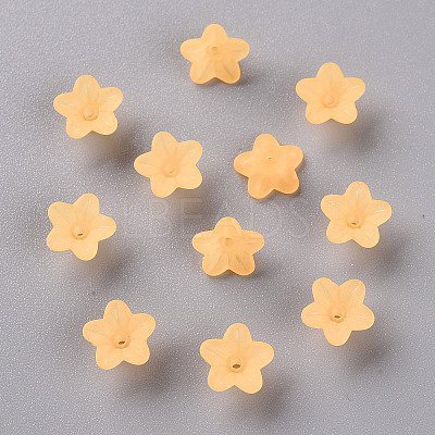 Transparent Acrylic Beads LS-X-PL554-07-1