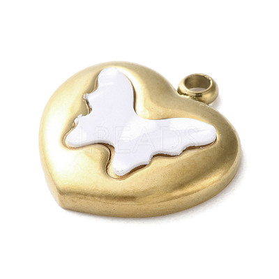 304 Stainless Steel Acrylic Pendants LS-STAS-M091-02B-G-1