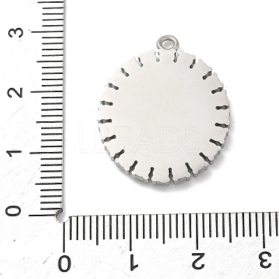304 Stainless Steel & Rhinestone Pendants STAS-G371-09H-02P-1