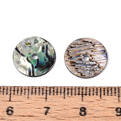 Natural Paua Shell Beads SSHEL-N040-20A-1
