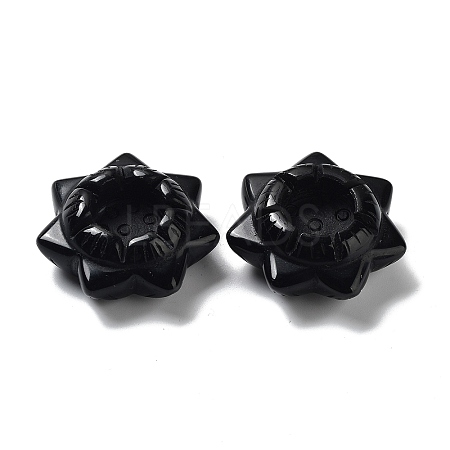 Natural Obsidian Display Decorations DJEW-F007-E05-1